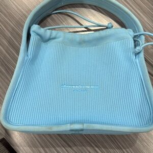 Alexander wang  slightly worm bag